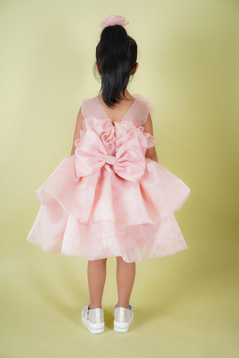 Pre-Order: Organza Bouquet Dress